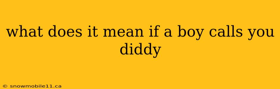 what does it mean if a boy calls you diddy