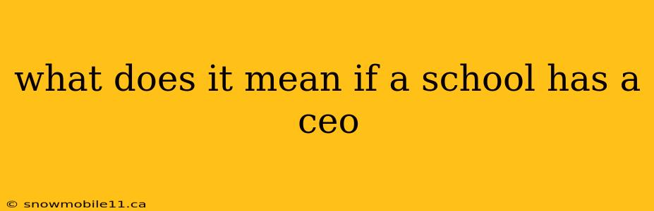 what does it mean if a school has a ceo