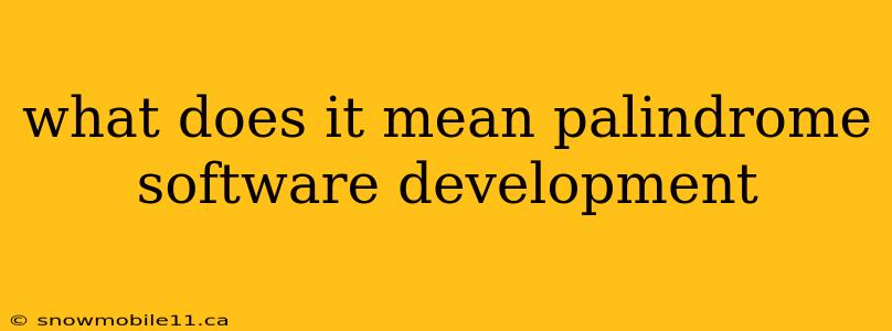 what does it mean palindrome software development