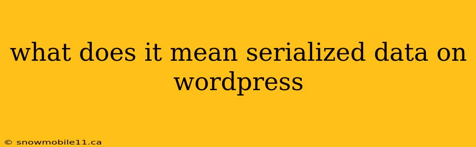 what does it mean serialized data on wordpress