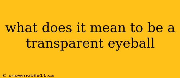 what does it mean to be a transparent eyeball