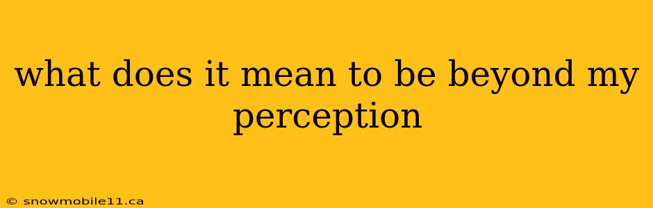 what does it mean to be beyond my perception