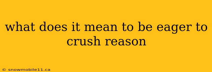 what does it mean to be eager to crush reason