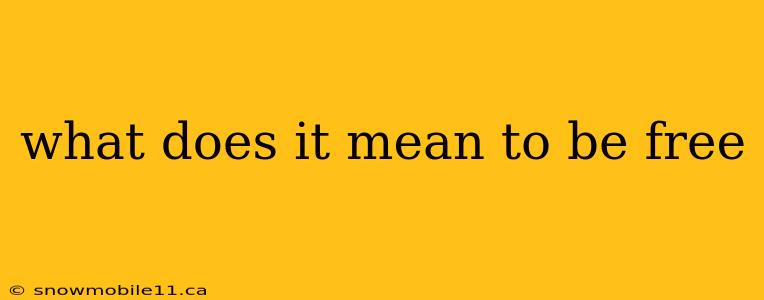 what does it mean to be free