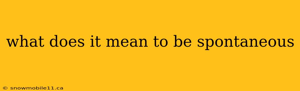 what does it mean to be spontaneous