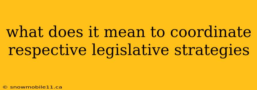 what does it mean to coordinate respective legislative strategies