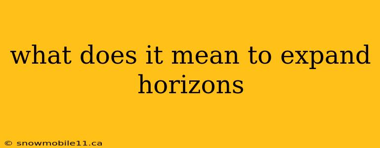 what does it mean to expand horizons