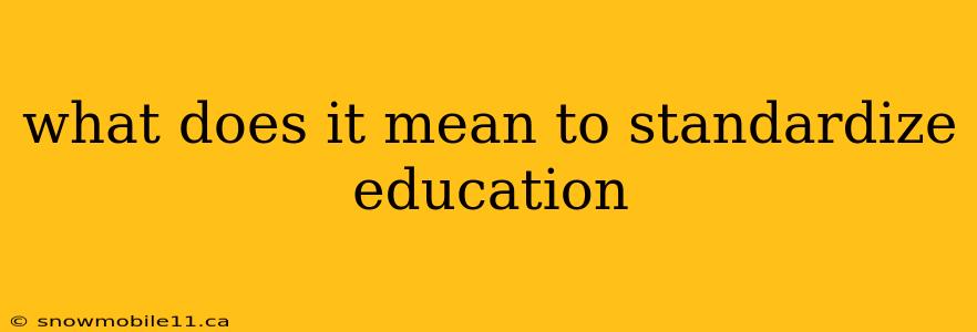 what does it mean to standardize education