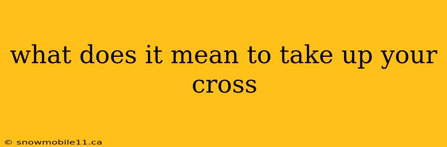 what does it mean to take up your cross