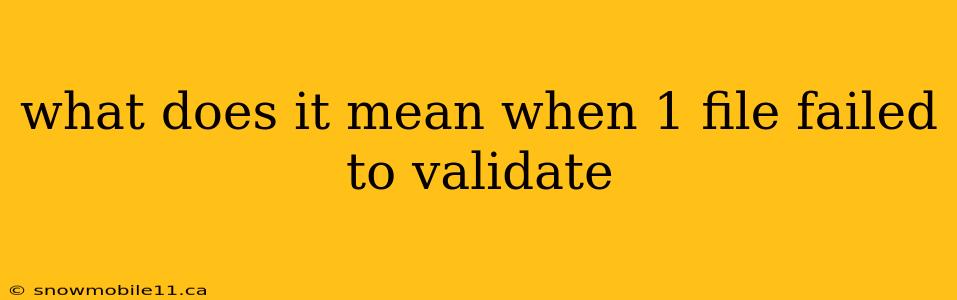 what does it mean when 1 file failed to validate