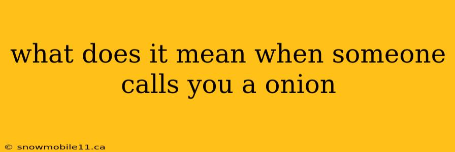 what does it mean when someone calls you a onion