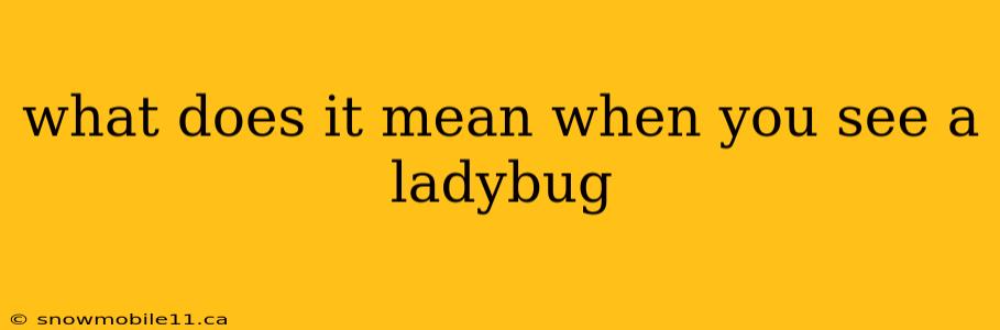 what does it mean when you see a ladybug