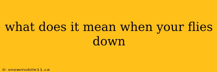 what does it mean when your flies down