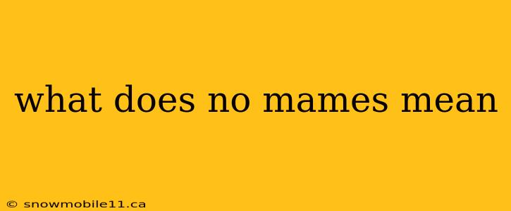 what does no mames mean