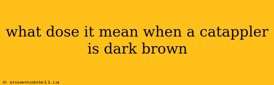 what dose it mean when a catappler is dark brown