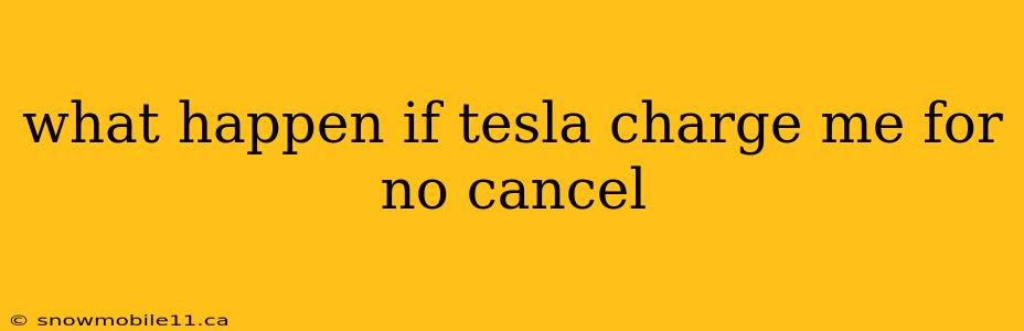 what happen if tesla charge me for no cancel