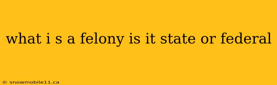 what i s a felony is it state or federal