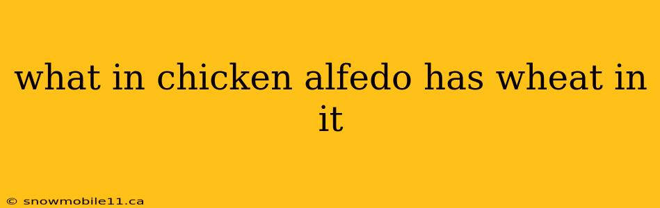 what in chicken alfedo has wheat in it