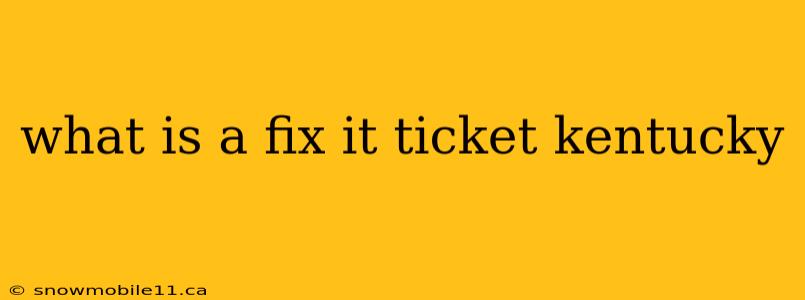 what is a fix it ticket kentucky