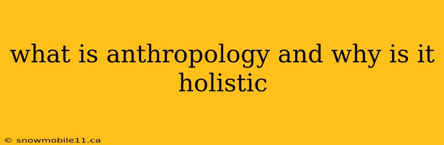 what is anthropology and why is it holistic