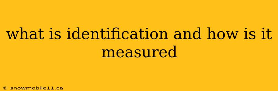 what is identification and how is it measured