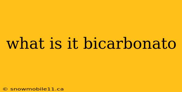 what is it bicarbonato