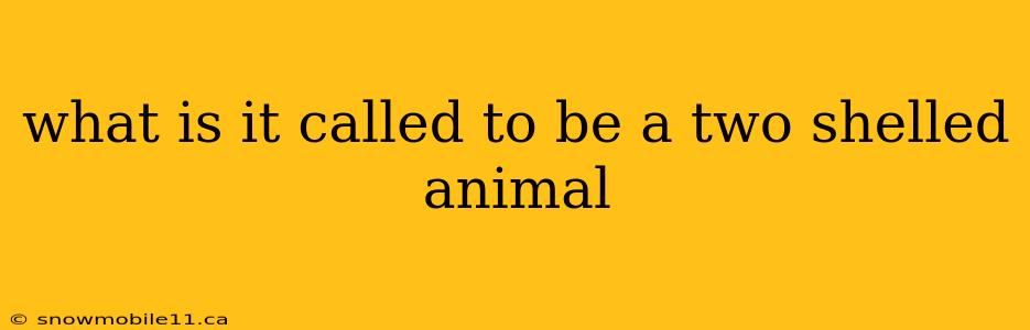 what is it called to be a two shelled animal