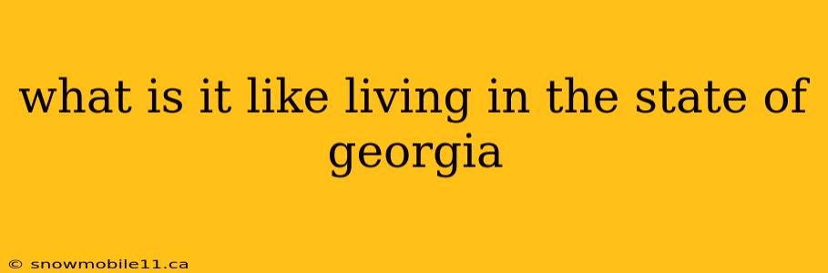 what is it like living in the state of georgia