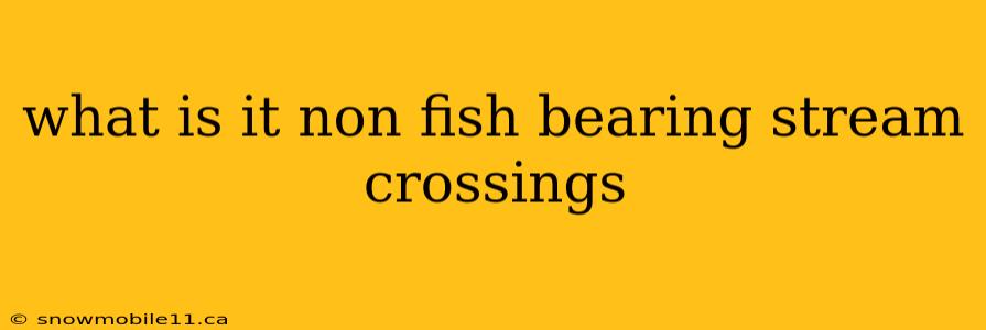 what is it non fish bearing stream crossings