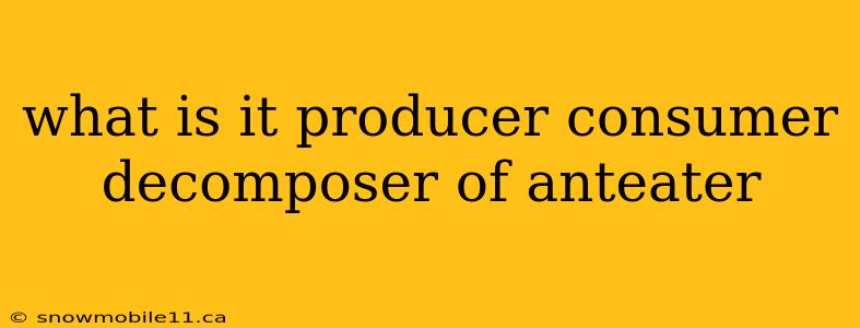 what is it producer consumer decomposer of anteater