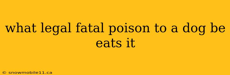 what legal fatal poison to a dog be eats it