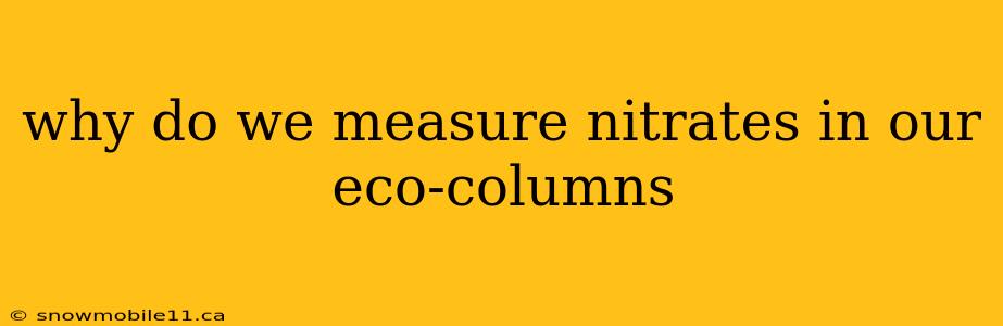 why do we measure nitrates in our eco-columns