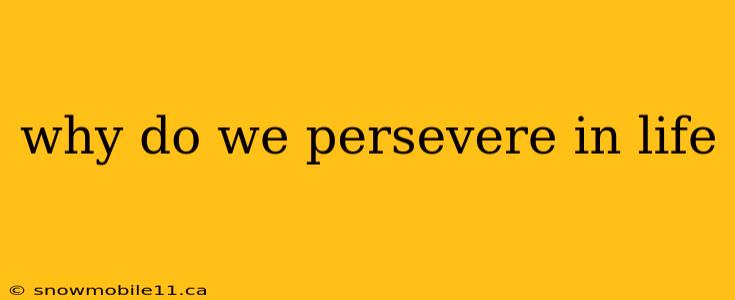 why do we persevere in life