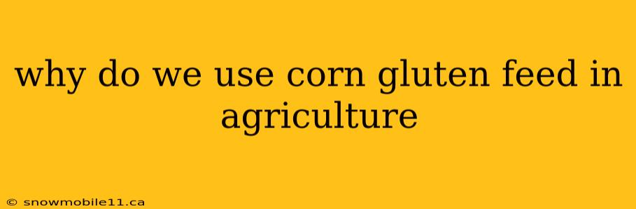 why do we use corn gluten feed in agriculture