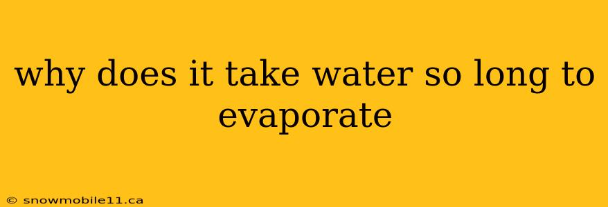 why does it take water so long to evaporate