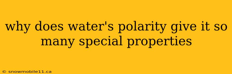 why does water's polarity give it so many special properties