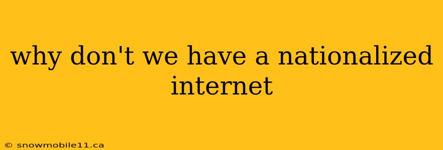 why don't we have a nationalized internet