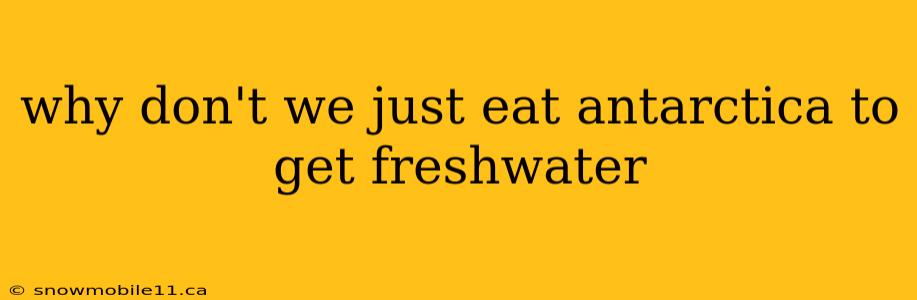 why don't we just eat antarctica to get freshwater