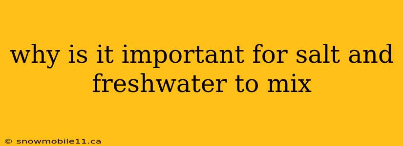 why is it important for salt and freshwater to mix