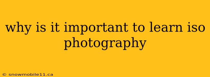 why is it important to learn iso photography