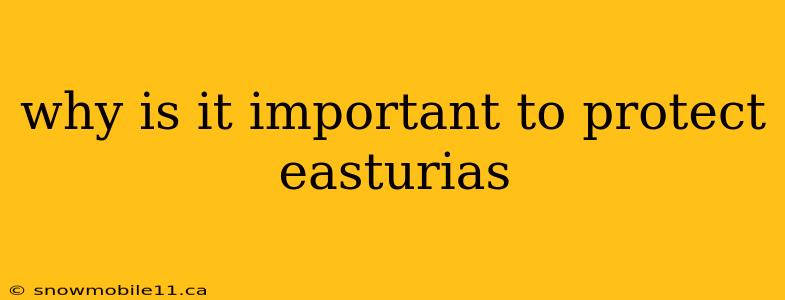 why is it important to protect easturias