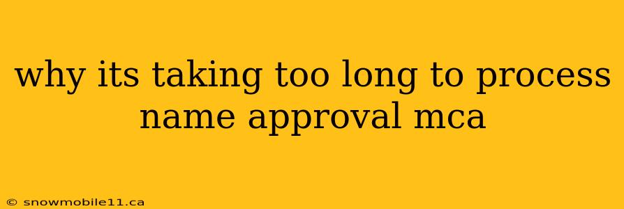 why its taking too long to process name approval mca