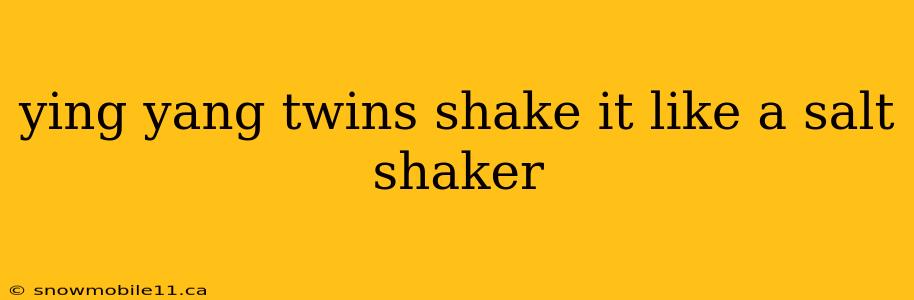 ying yang twins shake it like a salt shaker