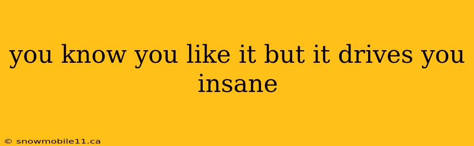 you know you like it but it drives you insane