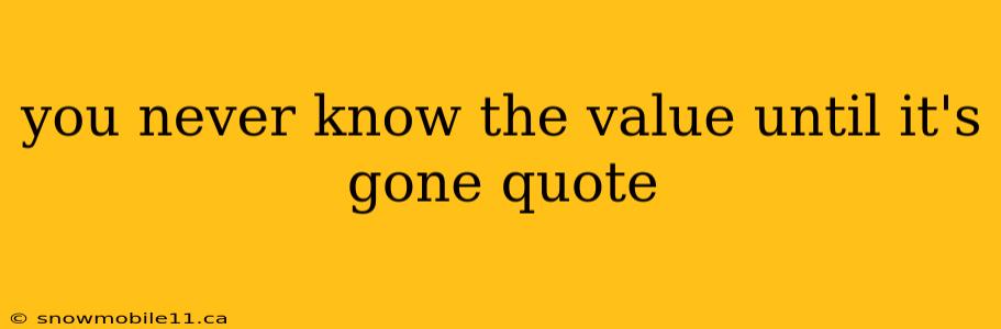 you never know the value until it's gone quote